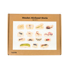 TickiT Wooden Minibeast Blocks - Set of 15-Foster descriptive language: Learn about marine life from around the world. Use these realistic images to compare and describe the animals