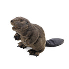 Folkmanis Beaver Puppet-Special Features: Moveable mouth, front paws and tail. 