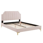 Modway Sienna Performance Velvet Twin Platform Bed with Gold Metal Legs - Pink-Twin Platform Bed