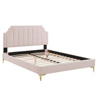 Modway Sienna Performance Velvet Twin Platform Bed with Gold Metal Legs - Pink-Twin Platform Bed