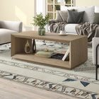 Hudson&Canal Evie 48"W Rectangular Coffee Table - Antiqued Grey Oak-Table is made of high-quality and durable MDF materials