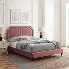 Modway Novi Performance Velvet King Bed with Wood Legs and Gold Metal Sleeves - Dusty Rose-Assembly Required