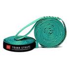 Grand Trunk Trunk Straps -Teal-Compatible with almost any super strong anchor point: tree trunk, vehicle roof rack, porch post, big rocks, boat mast, and more
