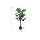 Monarch Specialties 54" Artificial Indoor Dieffenbachia Tree - Floor - Black Pot-This easy-care faux potted plant is made from the highest quality materials and requires no maintenance or watering, for a sustainable, environmentally friendly, decorative accent that will last a lifetime