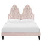 Modway Alexandria Tufted Performance Velvet Twin Platform Bed with Black Wood Legs - Pink-8