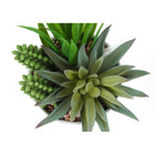 Monarch Specialties 7" Artificial Indoor Succulent Green Plants - Table - White Ceramic Pots - Set of 2-6