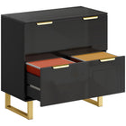 HOMCOM 2 Drawer File Cabinet with Adjustable Rails for Letter/A4/Legal Size Files- High Gloss Black-Two file drawers fit letter, A4 and legal size with adjustable rails