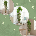 HOMCOM 6' Faux Fiddle Leaf Fig Tree - Green - 2 Pack-A weighted base ensures stability, making it safe for little ones and pets 