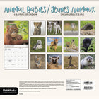 DateWorks 2026 16-Month Wall Calendar - 12" x 12" - Animal Babies - Bilingual-13 High Quality Images printed on Premium Paper