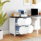 HOMCOM 2 Drawer File Cabinet, Printer Stand for Home Office - White-2 drawers with adjustable hanging bars for letter, A4, and legal files