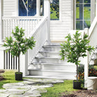 HOMCOM 36" Fake Plants with 345 Leaves - Green - 2 Pack-Features 345 PEVA leaves and wire branches for a lifelike laurel artificial tree 
