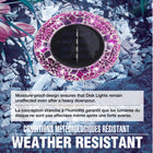 Bell+Howell Solar Outdoor Mosaic Decorative LED Pathway Disk Lights - Radiant Pink - 4 Pack-30 second setup - place them outside and let them charge at dusk your lawn, pathway, or patio lights up with coloured accent lighting