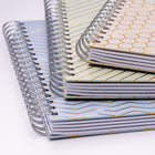 Pukka Pad Pukka Haze B5 Project Book - Assorted Colours-6