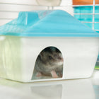 PawHut 31" Large Hamster Cage with Tunnel Tube System - White-Material: Steel Wire, PP, PS