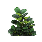Monarch Specialties 47" Artificial Indoor Fiddle Tree - Floor - Black Pot-6