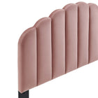 Modway Veronique Performance Velvet Twin Headboard - Dusty Rose-Height Adjustable Mounting