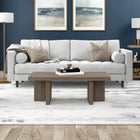 Hudson&Canal Dimitra 44"W Rectangular Coffee Table - Antiqued Grey Oak-Features easy assembly