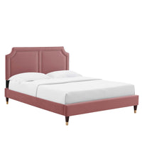 Modway Novi Performance Velvet King Bed with Wood Legs and Gold Metal Sleeves - Dusty Rose-King Platform Bed