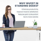 MotionGrey Electric Dual Motor Height Adjustable 165" W Sit-to-Stand Desk - White Frame-9