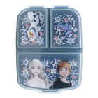 Danawares Disney Frozen Multi Compartment Lunch Box-Multiple Compartments: Includes separate sections for easy meal organization, keeping snacks, fruits, sandwiches, and more neatly separated