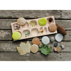 Yellow Door Let's Investigate Nature Stone Figures 8-Piece Set-Set contains eight stones: acorn, dandelion seedhead, feather, maple leaf, maple seeds, pine cone, snail shell, spider's web.
