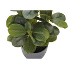 Monarch Specialties 14" Artificial Indoor Ficus - Table - Grey Pots - Set of 2-Product dimensions: 9 in. L x 10 in. W x 14 in. H (each plant)