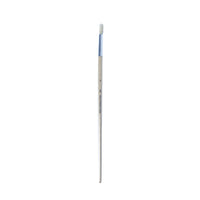 DBLG Import Eterna #582 Long Handle Round Poster Brush - Size 6 - 12 Pack-582 series - size 6