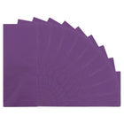 JAM Paper Tissue Paper - Purple - 100 Sheets-Quantity: 100 Sheets per Pack | Our convenient & lightweight paper makes it easier to stuff your gifts