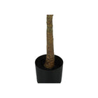 Monarch Specialties 47" Artificial Indoor Fiddle Tree - Floor - Black Pot-No assembly required: product dimensions: 25 in. L x 24 in. W x 47 in. H