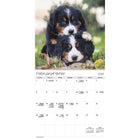DateWorks 2026 16-Month Wall Calendar - 12" x 12" - Puppies - Bilingual-Animals