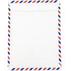 JAM Paper Airmail 9 x 12 Open End Catalog Envelopes, 100 Pack-Made out of Airmail Paper