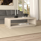 Hudson&Canal Lonni 47" Wide Rectangular Coffee Table - Alder White-Rounded corners on a rectangular tabletop with a lower shelf for storage