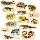 TickiT Wooden Reptile & Amphibian Blocks - Set of 15-15 reptiles: This set features 15 double-sided, wooden blocks with printed reptiles and amphibians. Encourage kids to use their imagination as they examine everyday creatures