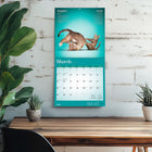 Plato 2026 Yoga Cats Together Official Monthly Hanging Wall Calendar - 12" W x 24" H  - English-Specifications - 16 months (two-page layout September-December 2025, and January-December 2026), 12" x 12" (closed), 12" x 24" (opened), 28 pages