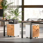 HOMCOM 2-Drawer Letter/A4 Filing Cabinet - Nature Wood-Combination of white and nature wood finish with silver handles fits any spaces
