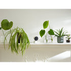 Google Nest Indoor Camera, Wired-6x digital zoom