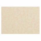 JAM Paper Blank Flat Note Cards - 3-1/2" x 4-7/8" (Fits in 4bar A1 Envelopes) - Natural Parchment - 50 Pack-Color: Natural Parchment