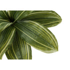 Monarch Specialties 17" Artificial Indoor Dracaena - Table - Black Pot-5 year limited warranty against manufacturer's defects