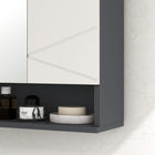 Kleankin Wall Mount Medicine Cabinet with Shelf and Mirror - Light Grey-Mirrored door to see easily when getting ready