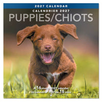 Mead 2027 Decorative Wall Calendar - 12" x 12" - Puppies - Bilingual-Showcases playful puppy photography that adds warmth and charm to any space