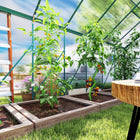Outsunny 16' x 8' Aluminium Polycarbonate Greenhouse with Adjustable Roof Vent- Sliding door for easy access
 