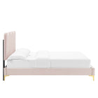 Modway Current Performance Velvet Full Platform Bed with Gold Metal Legs - Pink-Bed Frame Weight Capacity: 800 lb