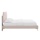 Modway Sienna Performance Velvet Queen Platform Bed with Gold Metal Legs - Pink-Gold Metal Legs With Non-Marking Caps