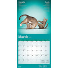 Plato 2026 Yoga Cats Together Official Monthly Hanging Wall Calendar - 12" W x 24" H  - English-Use Right Away - 16-month calendar, 12 full monthly pages and beginning with a bonus spread of the final four months of the preceding year with an additional image
