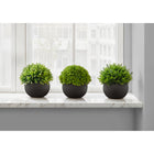 Monarch Specialties 5" Artificial Indoor Grass - Table - Black Pots - Set of 3-Each potted faux plant replicates a real-look with vibrant green foliage