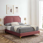 Modway Novi Performance Velvet King Bed with Gold Metal Legs with Foot Caps - Dusty Rose-Gold Metal Legs With Foot Caps