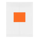 JAM Paper Mailing Address Labels - 3 1/3 x 4 - Orange - 2 sets of 120-5