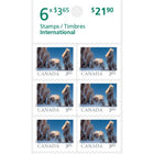 Canada Post International Rate Stamps - 6 Pack-International 