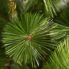 HOMCOM 7' Artificial Christmas Tree with Realistic Branch Tips - Green-Made with high-quality materials and excellent workmanship 