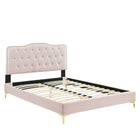 Modway Amber Full Platform Bed with Gold Metal Legs - Pink-BUTTON TUFTED - Bring glam deco and vintage modern style to a teenager or guest bedroom with the full headboard of this platform bed featuring button tufting, nailhead trim, and a charming silhouette